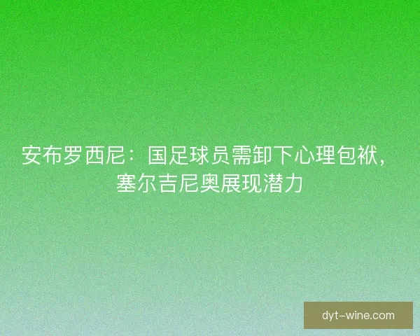 安布罗西尼：国足球员需卸下心理包袱，塞尔吉尼奥展现潜力