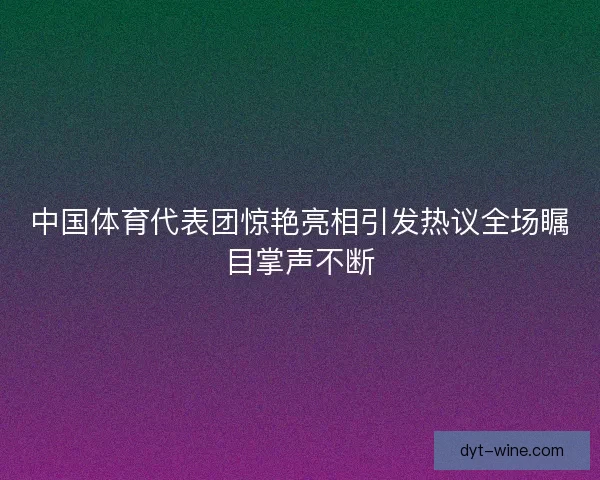 中国体育代表团惊艳亮相引发热议全场瞩目掌声不断
