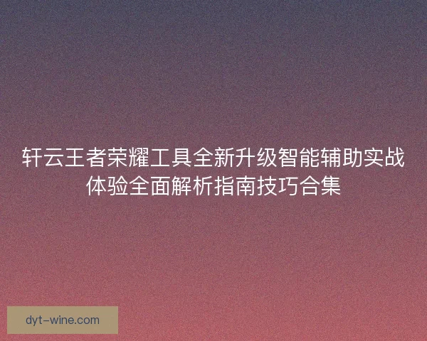 轩云王者荣耀工具全新升级智能辅助实战体验全面解析指南技巧合集
